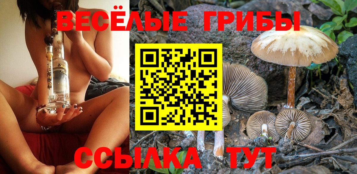 Галлюциногенные грибы мицелий  наркота  Шатура  Вход с VPN 